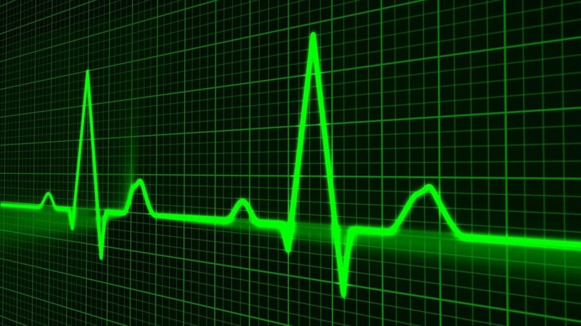 Crescimento em 2025 será liderado por planos PME da OdontoPrev — Crescimento em 2025 será impulsionado por planos PME da OdontoPrev, com vendas nas agências do Bradesco e Banco do Brasil.