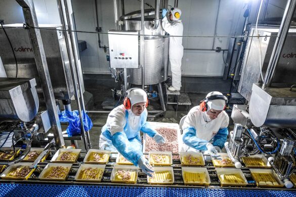Marfrig avança em fusão com a BRF — Marfrig propõe fusão com BRF, unindo marcas Sadia e Perdigão, e prevê sinergias de até R$ 805 milhões por ano.